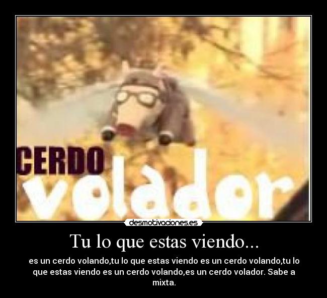 Tu lo que estas viendo... -