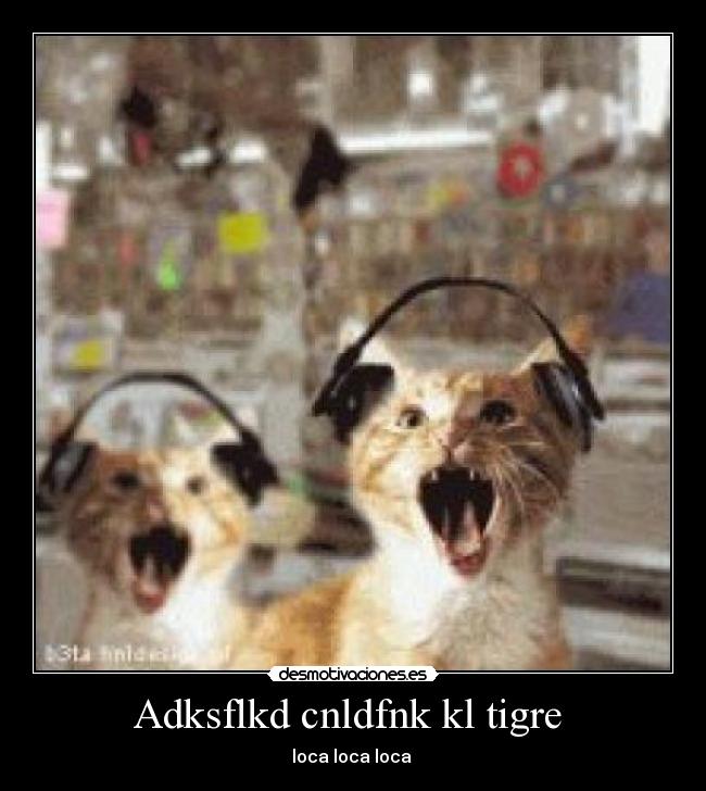 Adksflkd cnldfnk kl tigre  - loca loca loca ♪