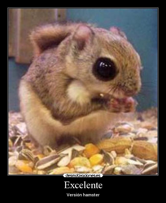 carteles jaja desmotivaciones