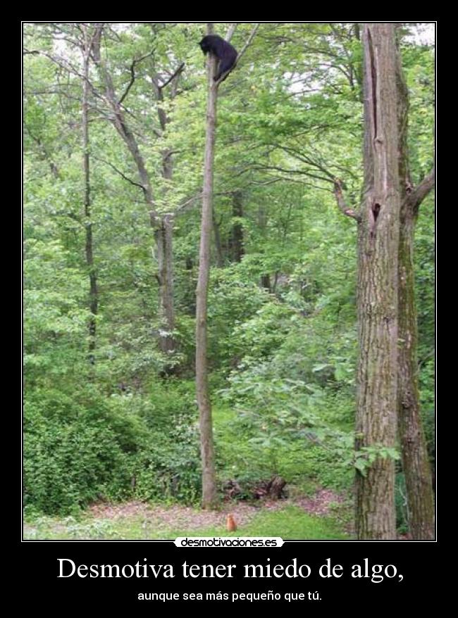 carteles miedo miedos desmotivaciones