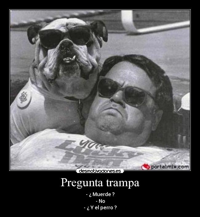 Pregunta trampa - - ¿ Muerde ?
- No
- ¿ Y el perro ?