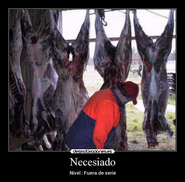 Necesiado -