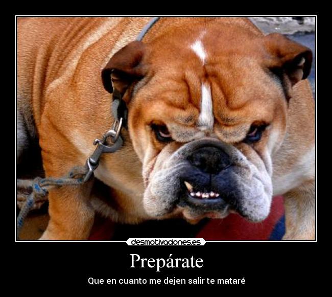 Prepárate - Que en cuanto me dejen salir te mataré