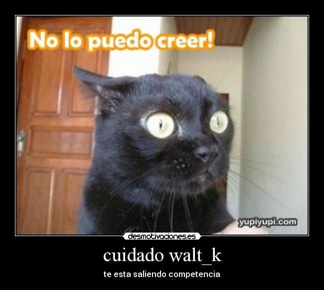 cuidado walt_k - 