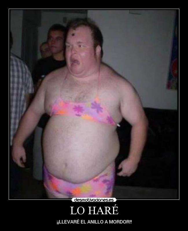 LO HARÉ - ¡¡LLEVARÉ EL ANILLO A MORDOR!!