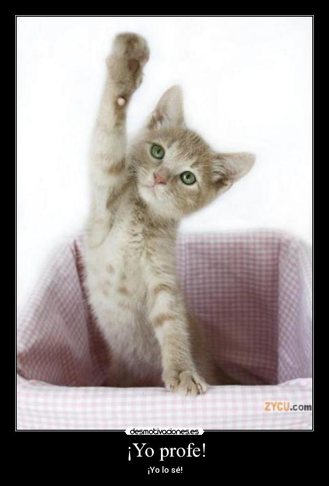 ¡Yo profe! -