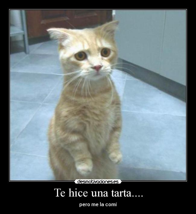 Te hice una tarta.... -