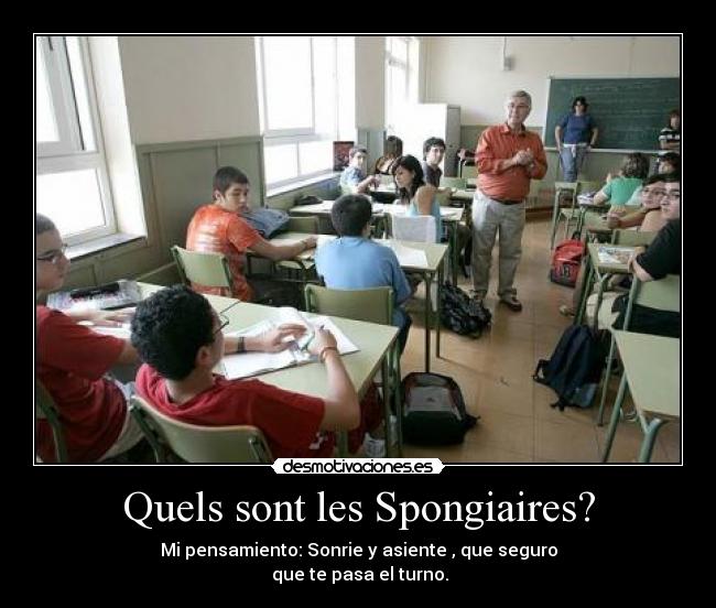 Quels sont les Spongiaires? - Mi pensamiento: Sonrie y asiente , que seguro
 que te pasa el turno.