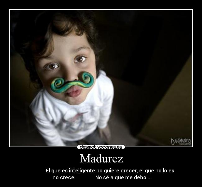 Madurez -               El que es inteligente no quiere crecer, el que no lo es
no crece.                No sé a que me debo...