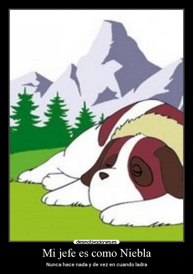 carteles syn41 niebla ladra jefe desmotivaciones