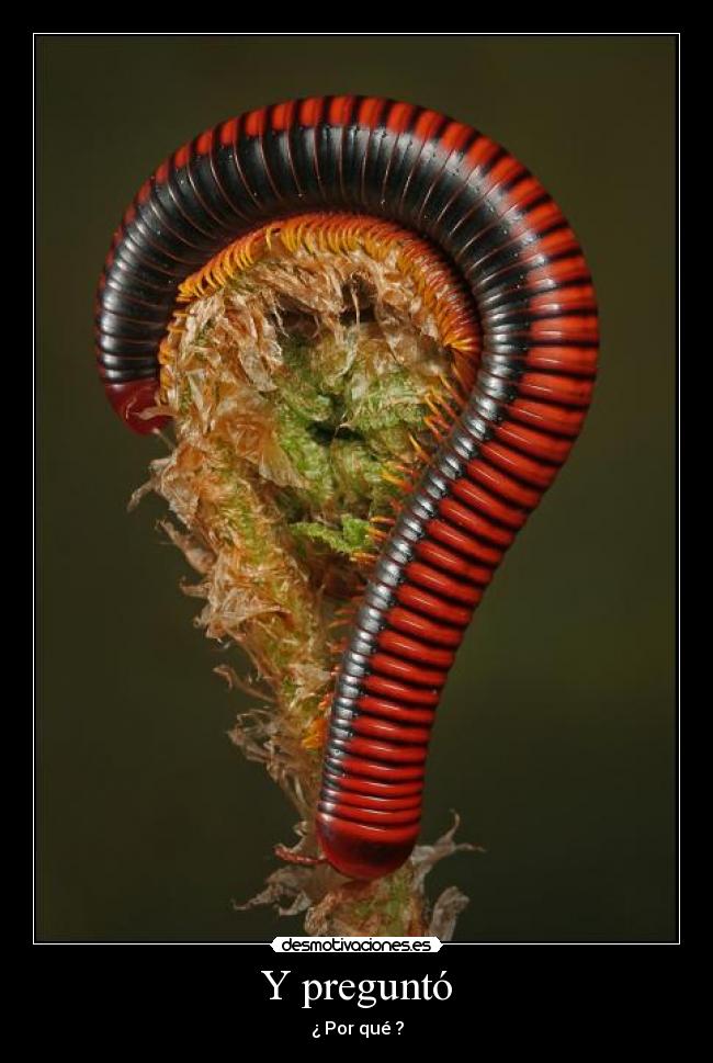 carteles misssindependent desmotivaciones