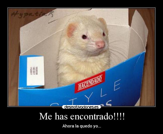 Me has encontrado!!!! - 