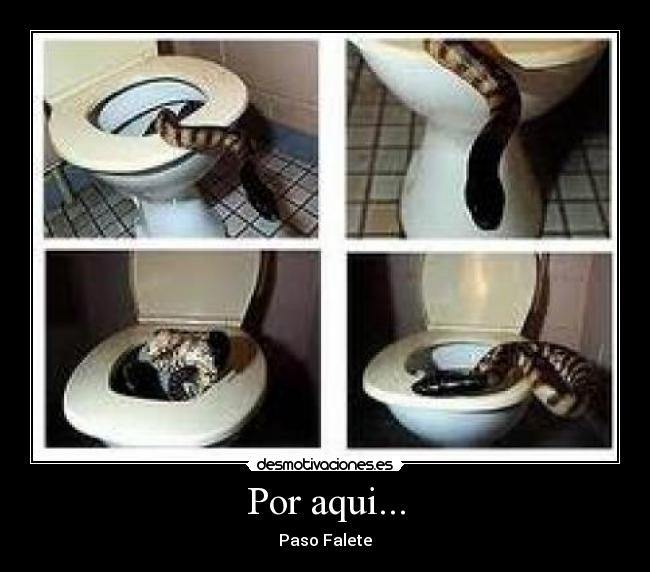 Por aqui... -