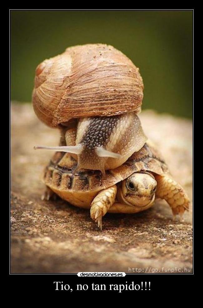 Tio, no tan rapido!!! -