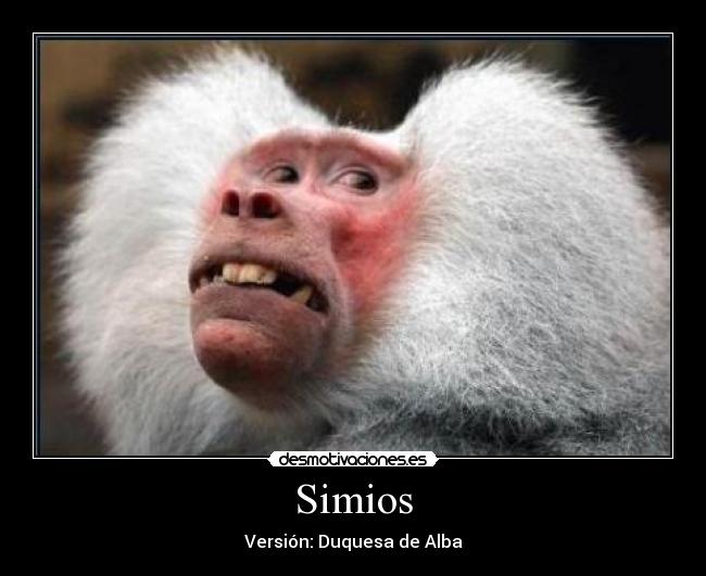Simios - 