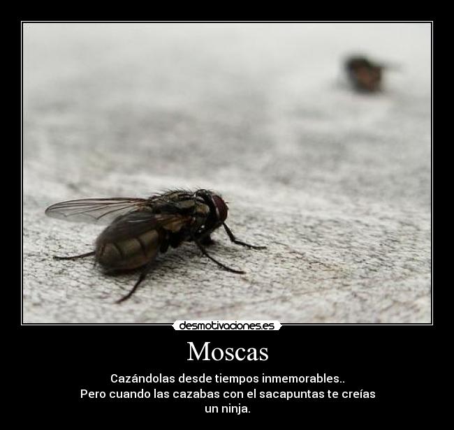 Moscas - Cazándolas desde tiempos inmemorables..
Pero cuando las cazabas con el sacapuntas te creías
un ninja.