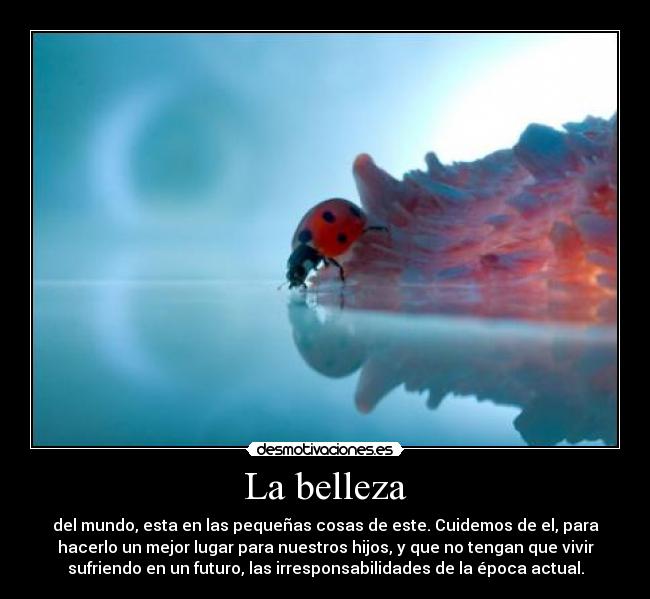 La belleza - del mundo, esta en las pequeñas cosas de este. Cuidemos de el, para
hacerlo un mejor lugar para nuestros hijos, y que no tengan que vivir
sufriendo en un futuro, las irresponsabilidades de la época actual.