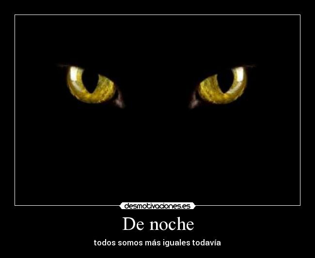 De noche - todos somos más iguales todavía