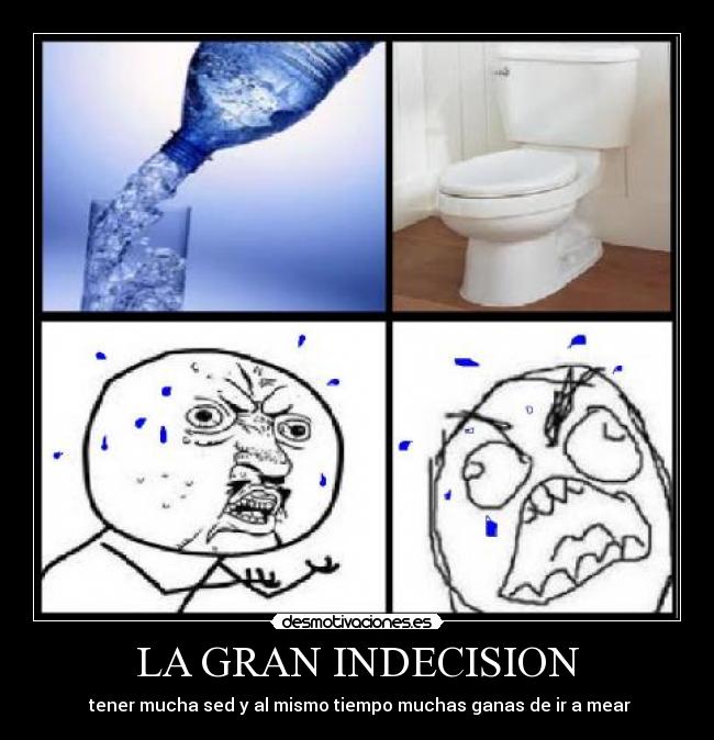 LA GRAN INDECISION - 
