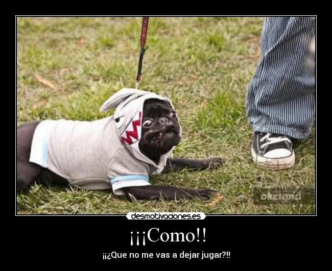 ¡¡¡Como!! - ¡¡¿Que no me vas a dejar jugar?!!