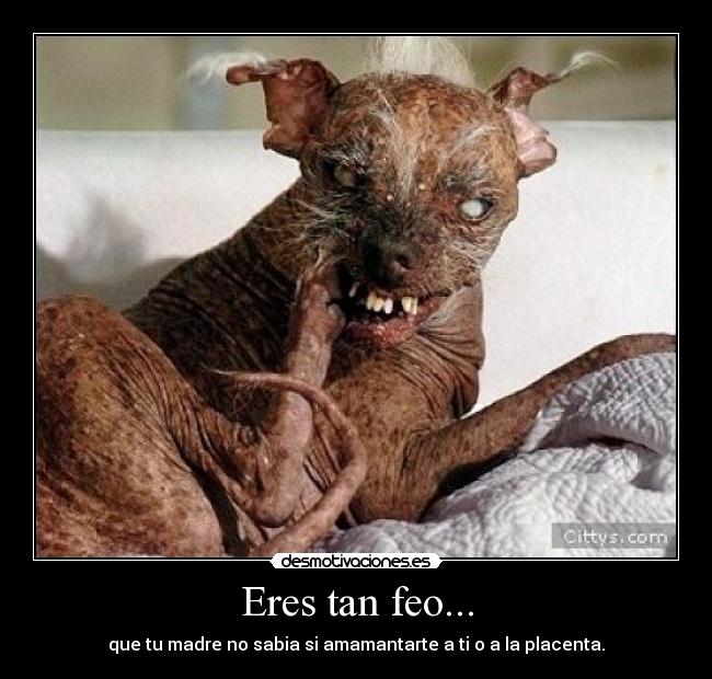 Eres tan feo... - que tu madre no sabia si amamantarte a ti o a la placenta.