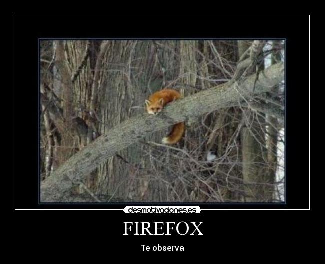 FIREFOX -
