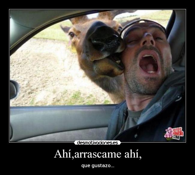 Ahí,arrascame ahí, - que gustazo...