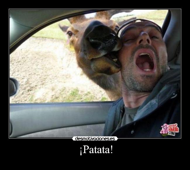 ¡Patata! -