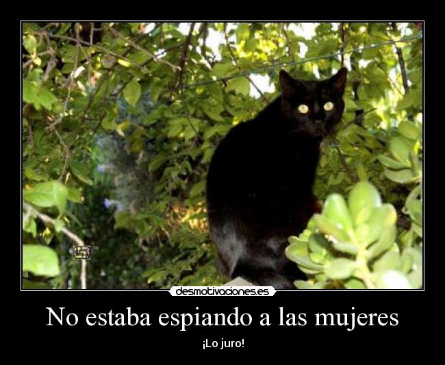 No estaba espiando a las mujeres - ¡Lo juro!