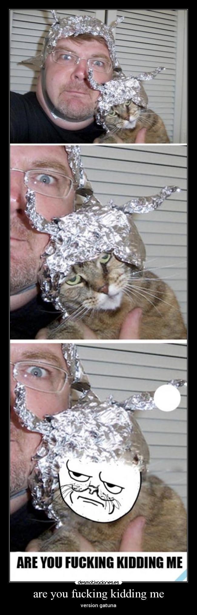 are you fucking kidding me - version gatuna