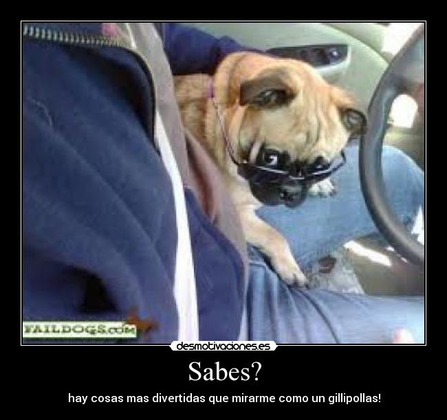 Sabes? - hay cosas mas divertidas que mirarme como un gillipollas!