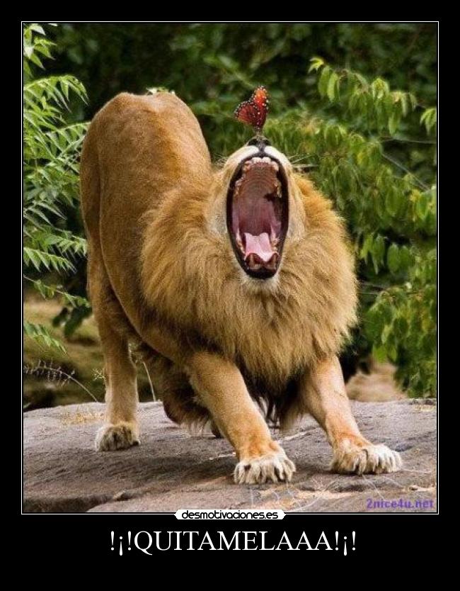 !¡!QUITAMELAAA!¡! -