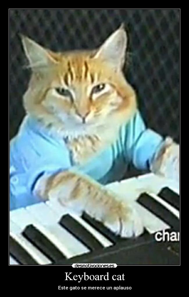 Keyboard cat - Este gato se merece un aplauso