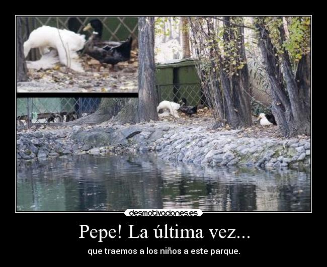 carteles parque patos follando desmotivaciones