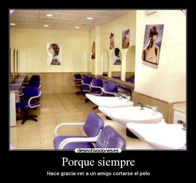 Porque siempre - Hace gracia ver a un amigo cortarse el pelo