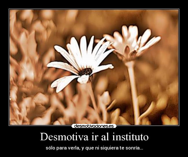 Desmotiva ir al instituto - sólo para verla, y que ni siquiera te sonría...
