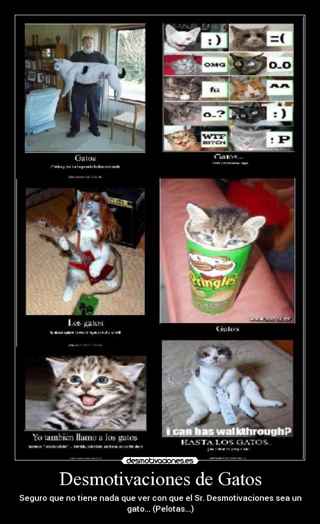 Desmotivaciones de Gatos - Seguro que no tiene nada que ver con que el Sr. Desmotivaciones sea un
gato... (Pelotas...)