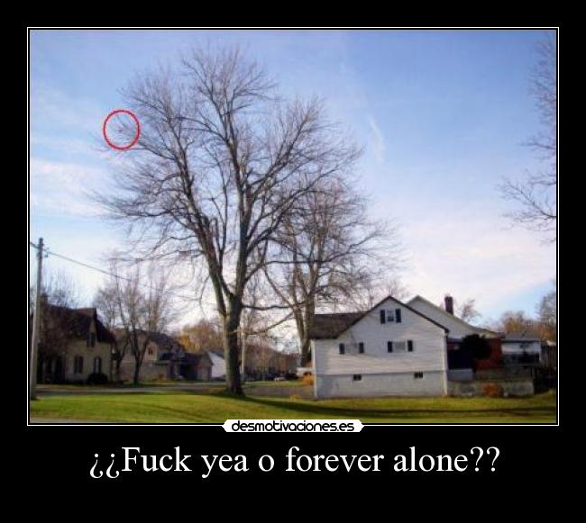 ¿¿Fuck yea o forever alone?? -
