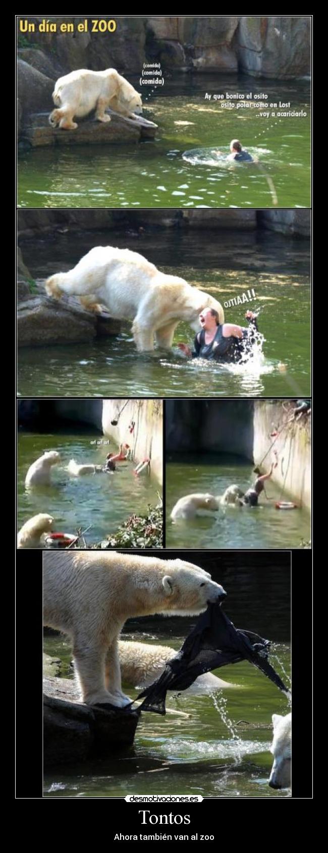 Tontos - Ahora también van al zoo