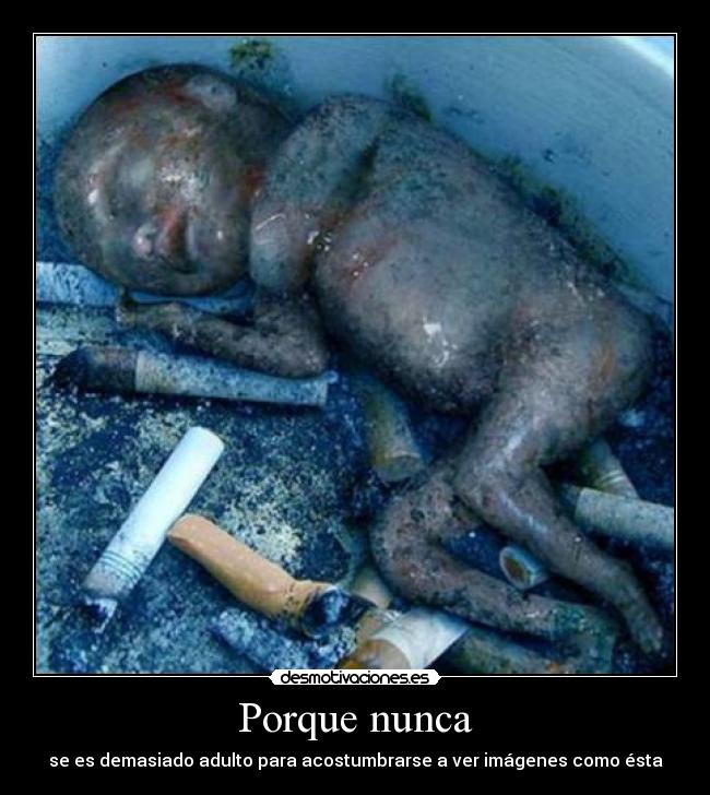 Porque nunca - se es demasiado adulto para acostumbrarse a ver imágenes como ésta