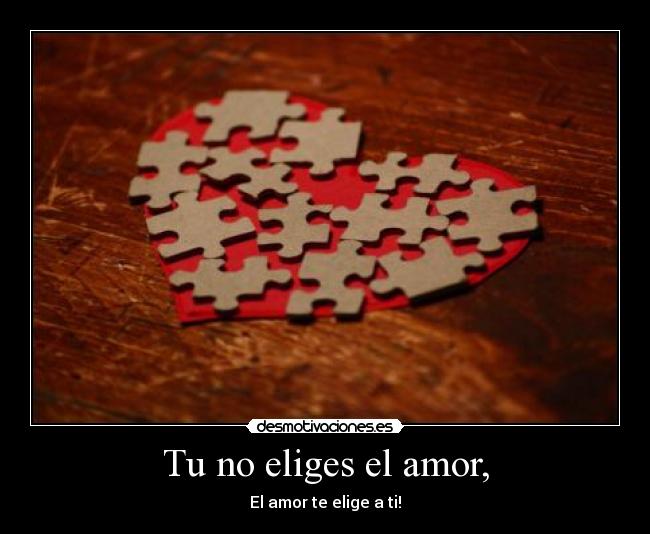 Tu no eliges el amor, -