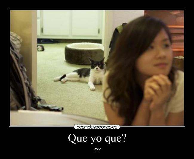 Que yo que? -