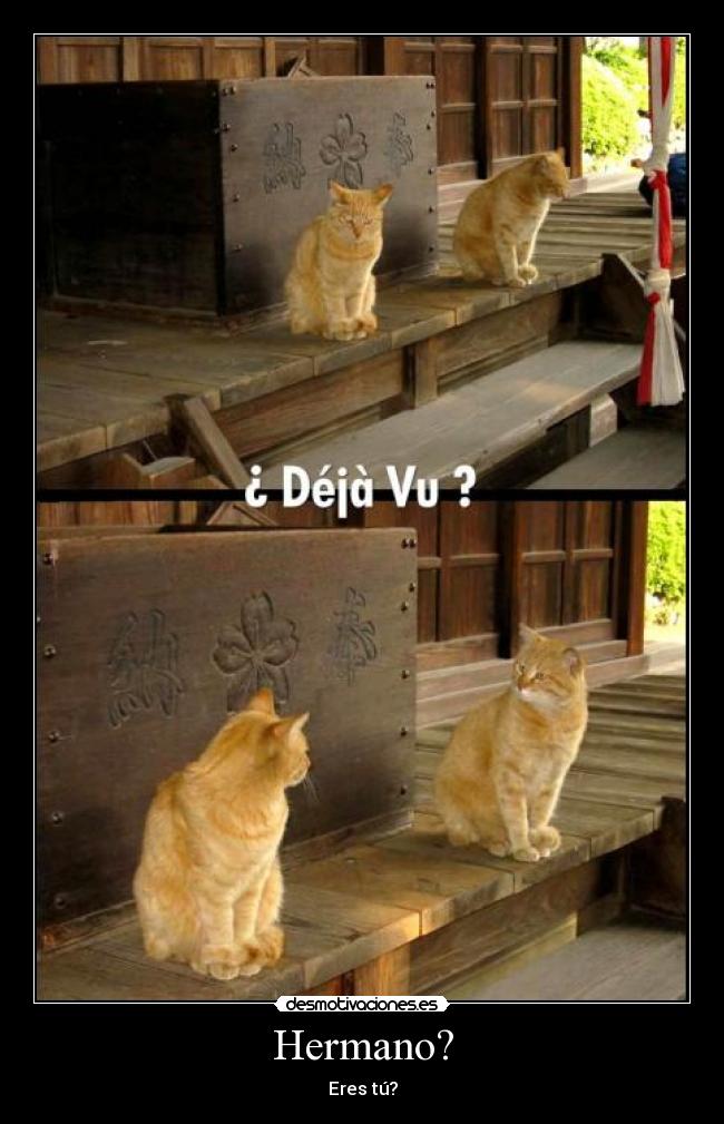 Hermano? - Eres tú?