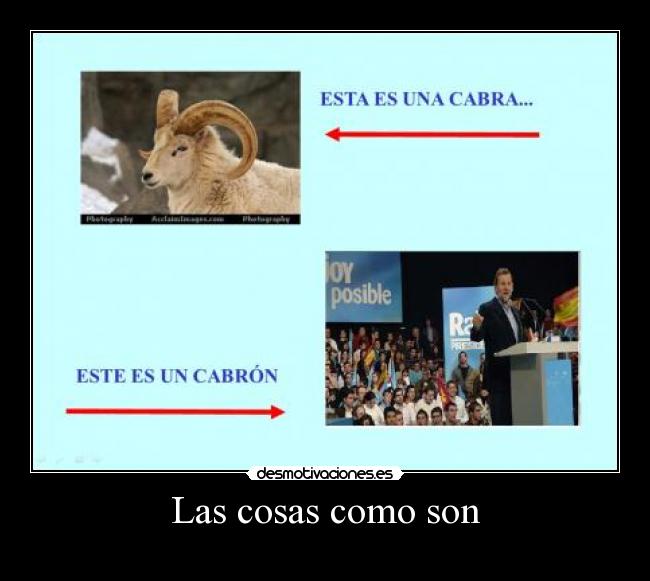 Las cosas como son - 