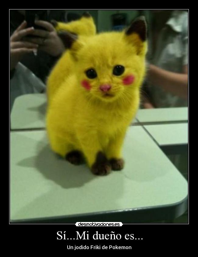 Sí...Mi dueño es... -