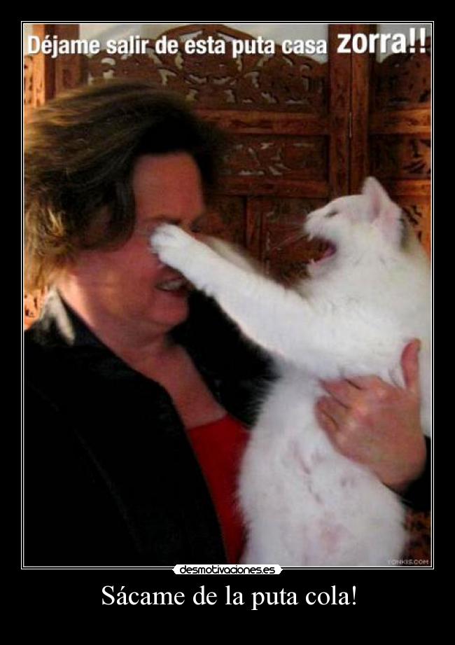 Sácame de la puta cola! - 