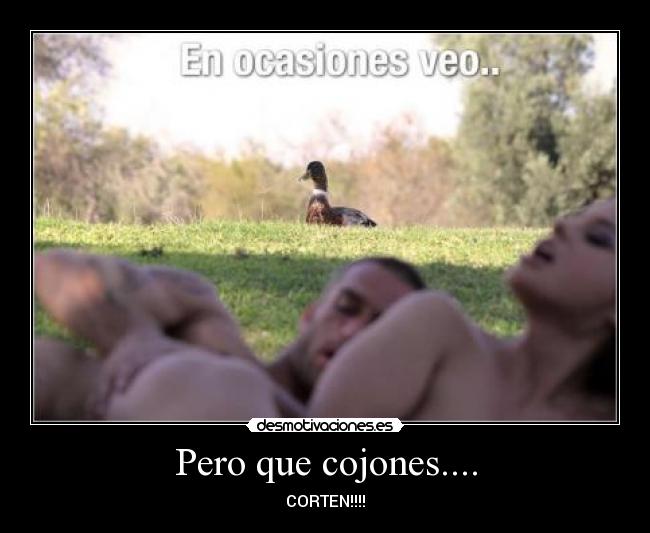 Pero que cojones.... - CORTEN!!!!