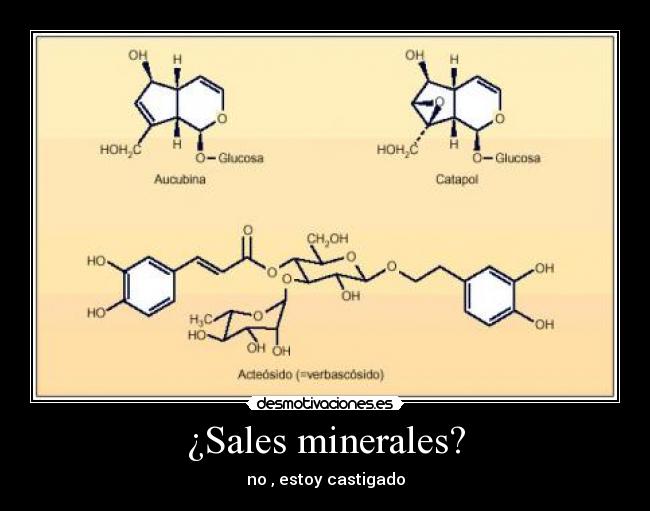 ¿Sales minerales? - no , estoy castigado