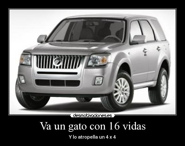 Va un gato con 16 vidas - Y lo atropella un 4 x 4