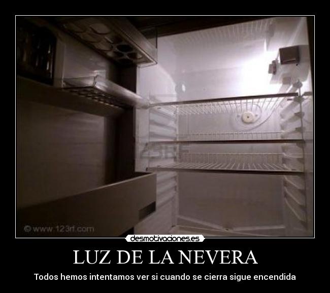LUZ DE LA NEVERA - Todos hemos intentamos ver si cuando se cierra sigue encendida